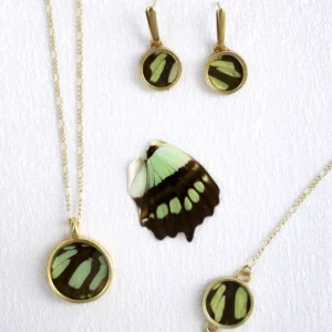 Set 4 Mariposa Malaquita