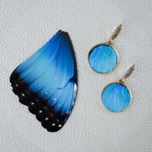 Aretes Morpho