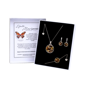 Set 3 Mariposa Espejito
