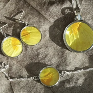 Set 3 Mariposa Sulfuro