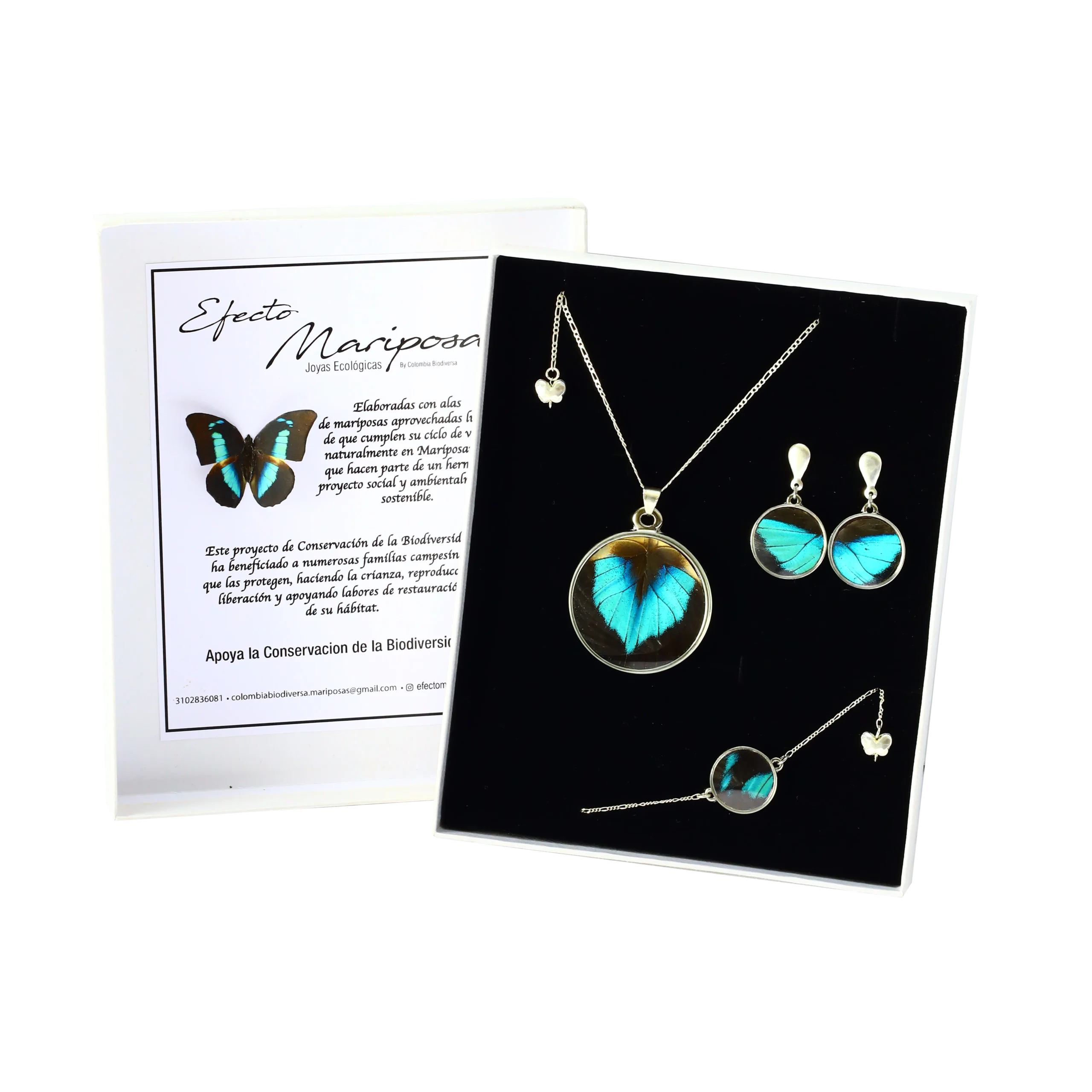 Set 1 Mariposa Esmeralda