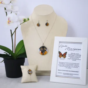 Set 1 Mariposa Monarca