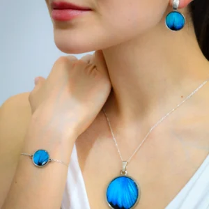 Set 1 Mariposa Morpho