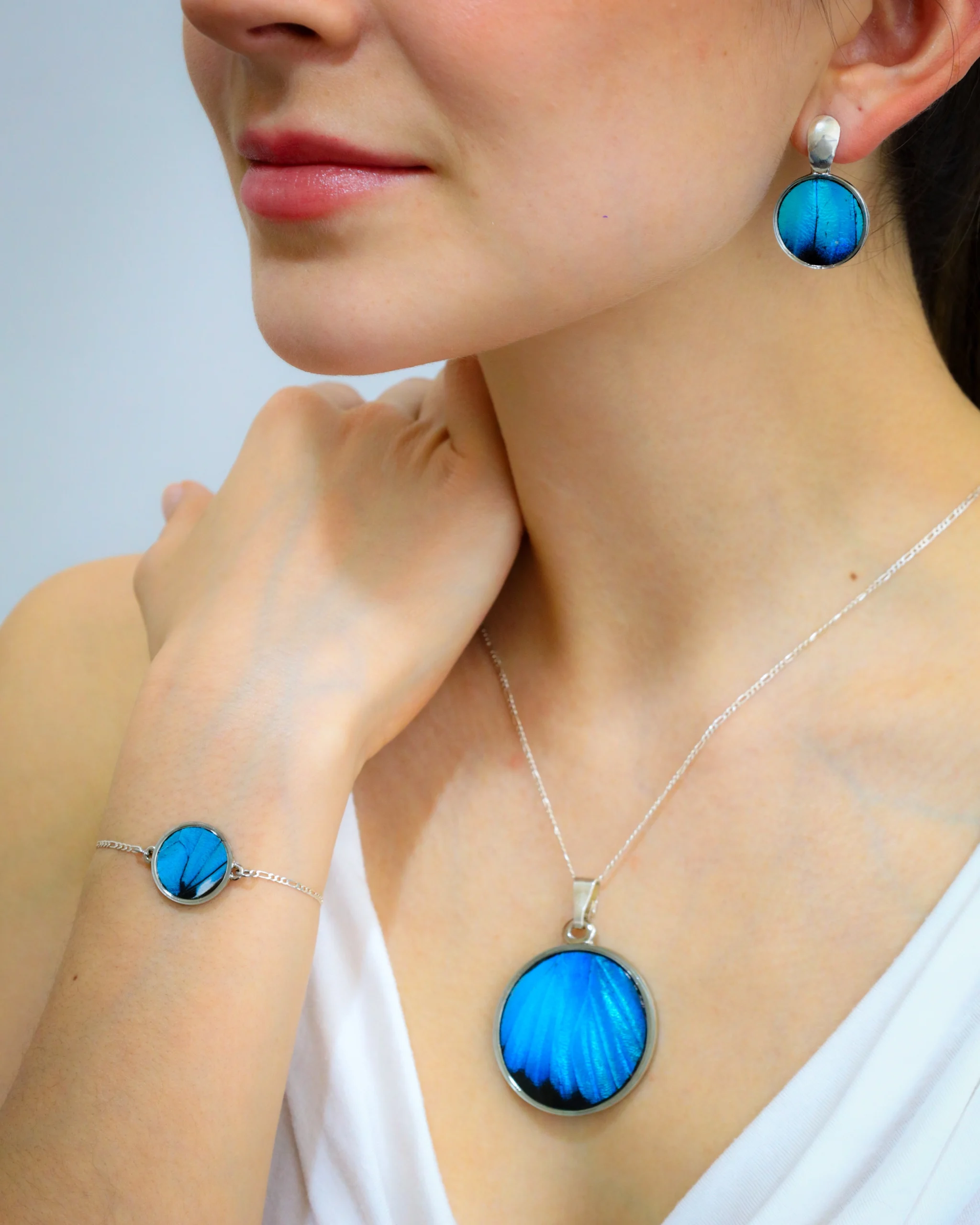 Set 1 Mariposa Morpho