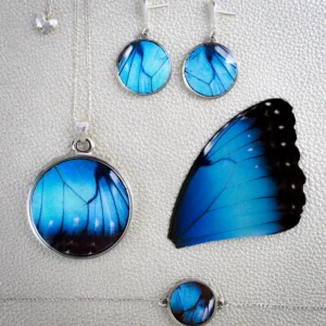 Set 2 Mariposa Morpho