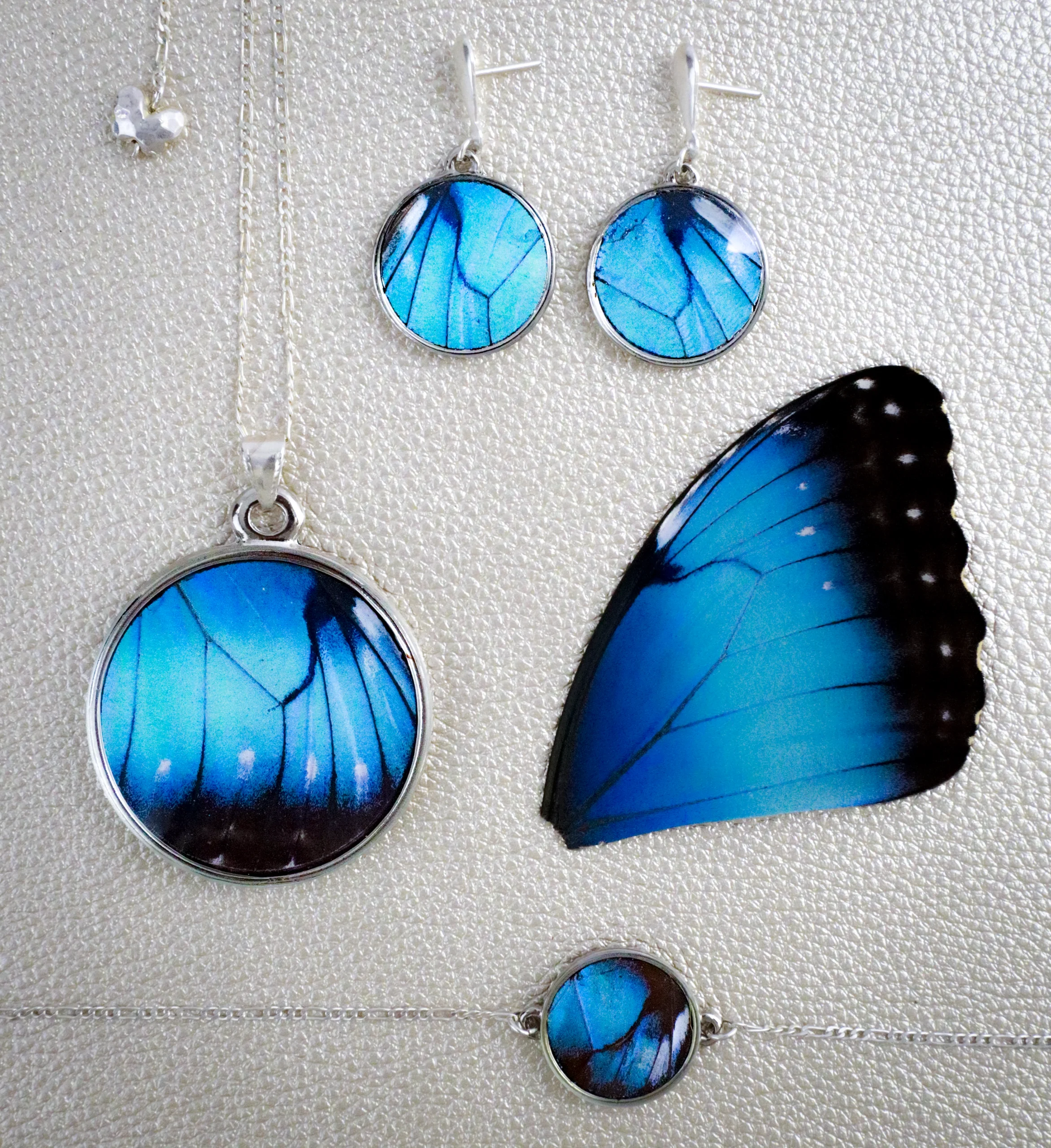 Set 2 Mariposa Morpho