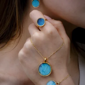 Set 3 Mariposa Morpho