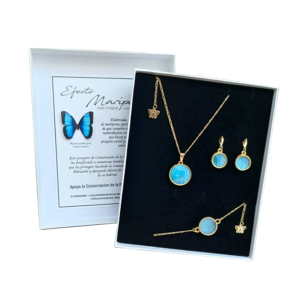 Set 4 Mariposa Morpho