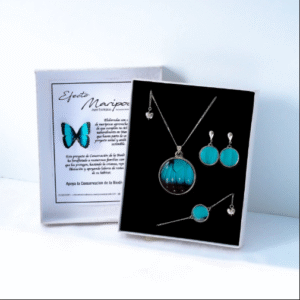 Set 1 morpho
