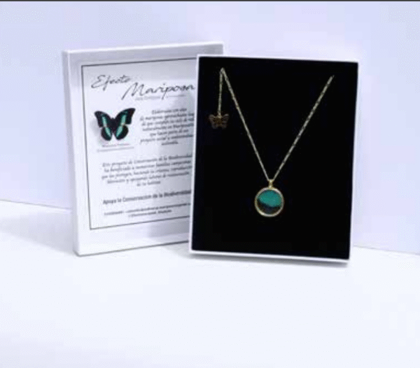 Joya de mariposa - collar 2