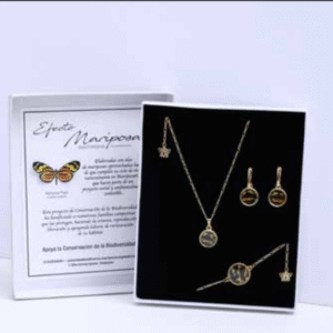 conjunto de joyas de mariposa