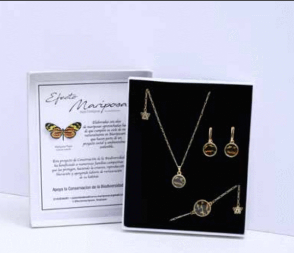 conjunto de joyas de mariposa