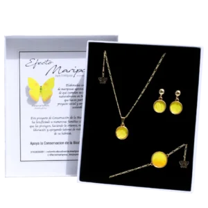Set 4 Mariposa Sulfuro