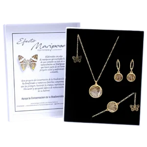 Set 3 Mariposa Cebra