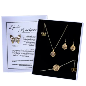 Set 4 Mariposa cebra