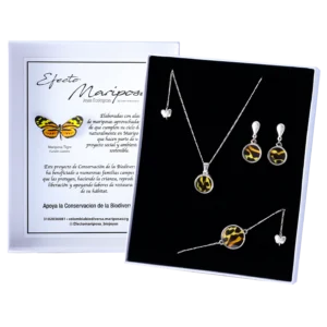 Set 4 Mariposa Tigre