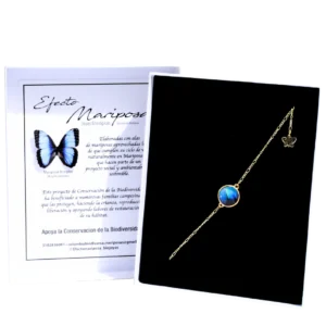 Brazalete Morpho