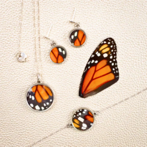 Set 3 Mariposa Monarca