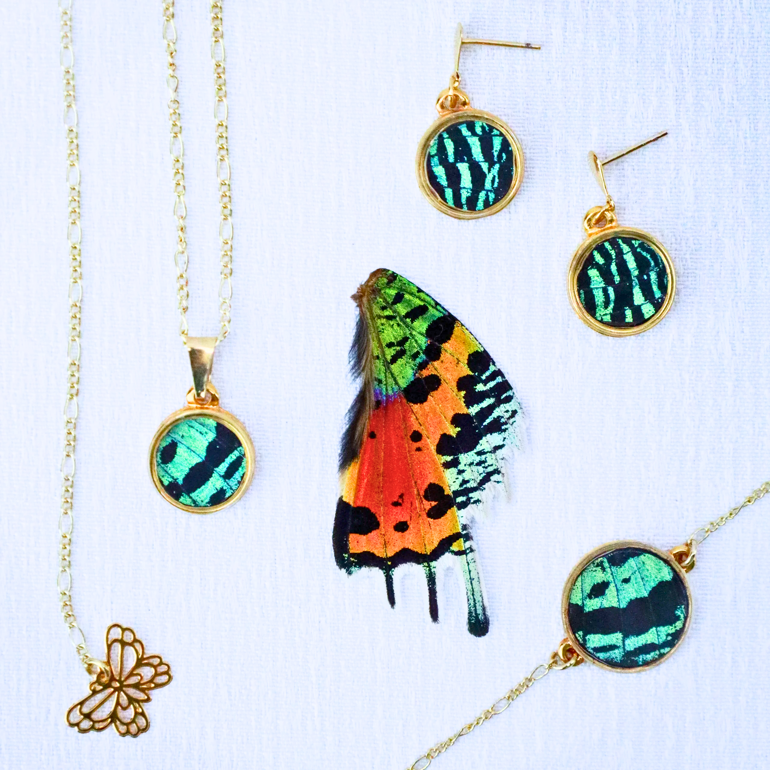 Set 4 Mariposa Urania